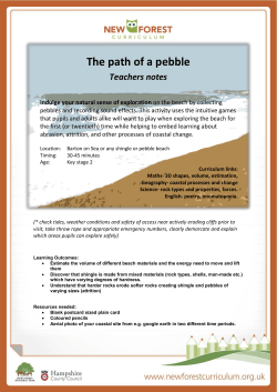 The Path of a Pebble teacher`s notes