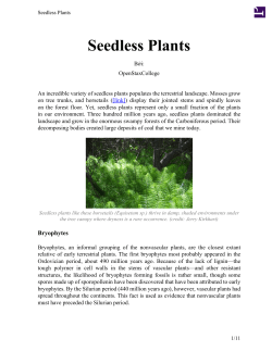 Seedless Plants