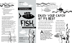 A Pocket Guide to the Care and Handling of Fish from Stream to Table