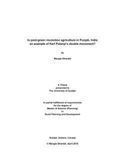 Is post-green revolution agriculture in Punjab, India an