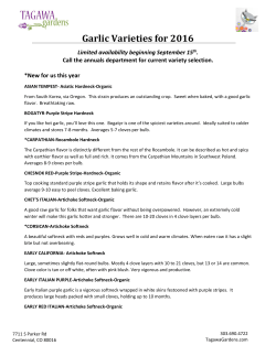 Garlic Varieties for 2016