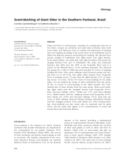 Scent-Marking of Giant Otter in the Southern Pantanal, Brazil