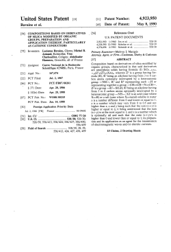 Compositions based on derivatives of silica modified by organic