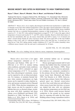 moose modify bed sites in response to high temperatures