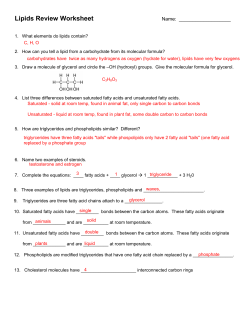 KEY - Mrs Terry Science