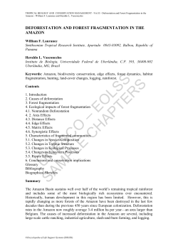 Deforestation and Forest Fragmentation in the Amazon