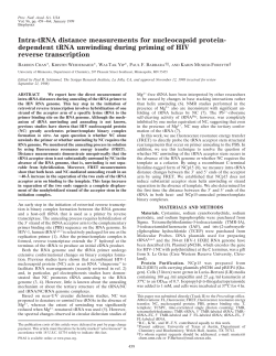 Intra-tRNA distance measurements for nucleocapsid protein