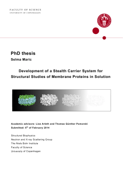 PhD thesis - Niels Bohr Institutet