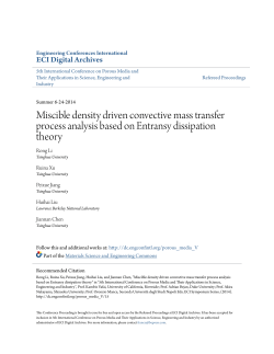 Miscible density driven convective mass transfer process analysis