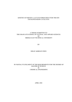 KINETICS OF METHYL LACTATE FORMATION OVER THE ION