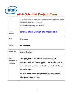 Mini-Scientist Project Form