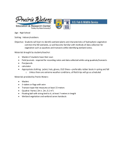 Fall Wetland Vegetation Exercise