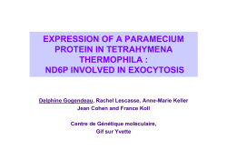 EXPRESSION OF A PARAMECIUM PROTEIN IN TETRAHYMENA