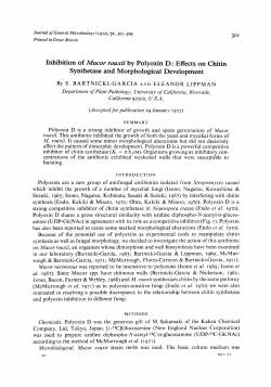 Inhibition of Mucor rouxii by Polyoxin D: Effects on