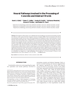 Neural pathways involved in the processing of concrete and abstract