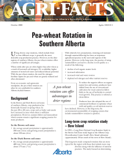 Pea-wheat rotation in southern Alberta