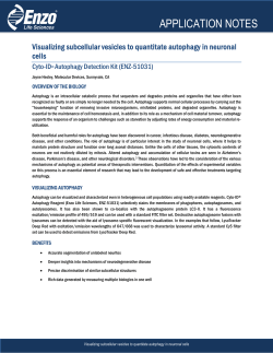 application notes - Enzo Life Sciences
