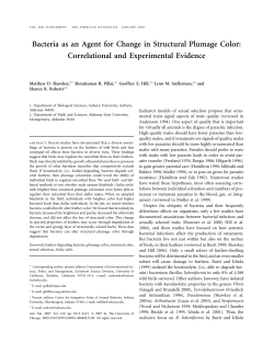 Bacteria as an Agent for Change in Structural Plumage Color