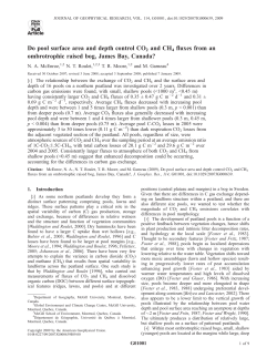 Do pool surface area and depth control CO2 and CH4 fluxes from an