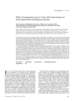 Effect of magnesium given 1 hour after head trauma on brain edema
