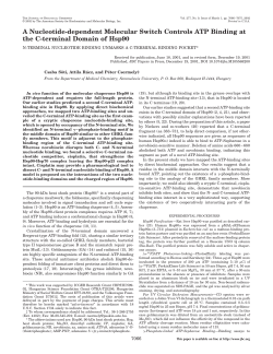 A Nucleotide-dependent Molecular Switch Controls ATP Binding at