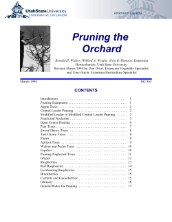 Pruning the Orchard - DigitalCommons@USU