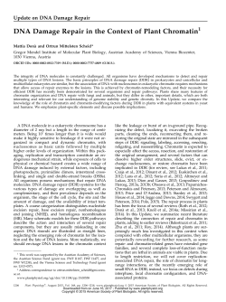 DNA Damage Repair in the Context of Plant