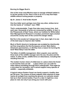 Burning for Bigger Buck`s One of the most cost