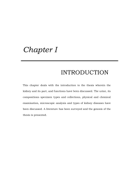 12_chapter 1