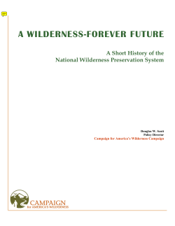A Wilderness-Forever Future