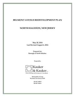 belmont avenue redevelopment plan north haledon, new jersey