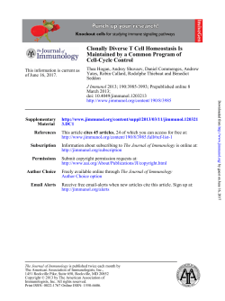 Cell-Cycle Control Maintained by a Common Program of Clonally