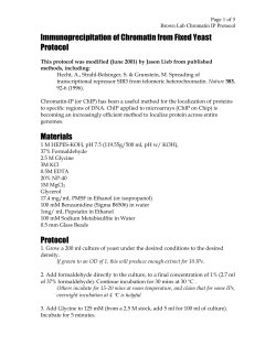 Brown Lab IP protocol