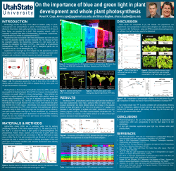 On the Importance of Blue and Green Light in Plant Development