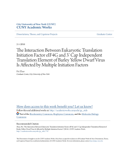 The Interaction Between Eukaryotic Translation Initiation Factor