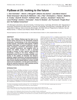 FlyBase at 25: looking to the future