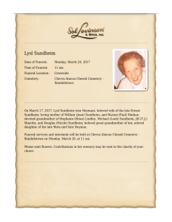 Lysl Sundheim - Sol Levinson