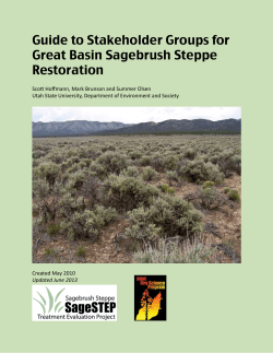 Guide to Stakeholder Groups for Great Basin Sagebrush Steppe