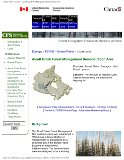 1999 Boreal Plains Ecozone &ndash; Alcott Creek Forest Management