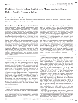 Conditional Intrinsic Voltage Oscillations in Mature Vertebrate