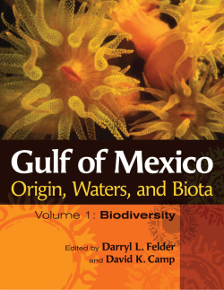 Rosenberg, G., F. Moretzsohn, and EF Garc&iacute;a. 2009. Gastropoda