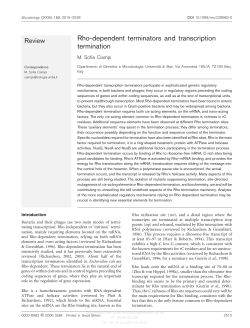 Rho-dependent terminators and transcription