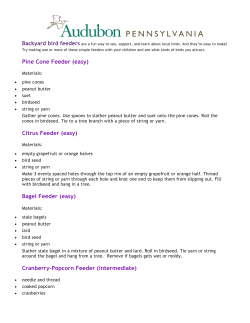 Homemade Bird Feeders - Audubon Pennsylvania