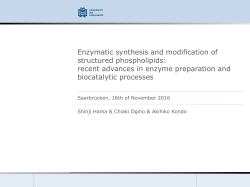 Enzymatic synthesis and modification of structured phospholipids