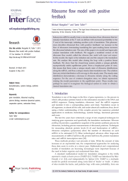 Ribosome flow model with positive feedback