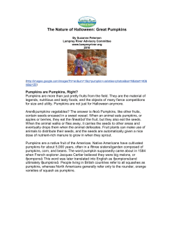 Halloween Pumpkins - Lamprey River Advisory Committee