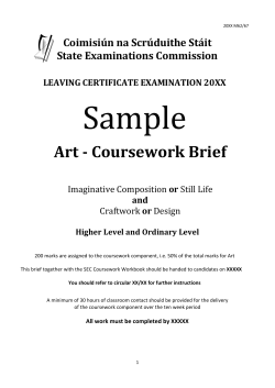 Leaving Certificate Art Coursework Sample Examination Paper EV