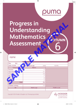 Progress in Understanding Mathematics