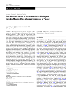 First Mesozoic record of the scleractinian Madrepora from the