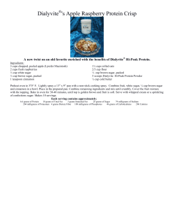Dialyvite `s Apple Raspberry Protein Crisp